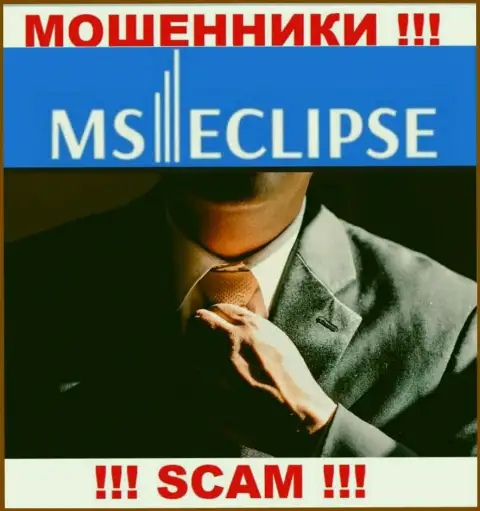 Данных о лицах, руководящих MSEclipse Com в internet сети найти не получилось