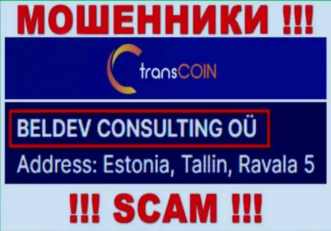 TransCoin - юридическое лицо лохотронщиков контора BELDEV CONSULTING OÜ