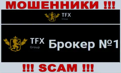 Не надо доверять вложенные денежные средства TFXGroup , ведь их направление работы, Forex, обман