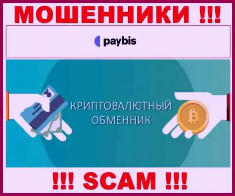 Крипто обменник - это направление деятельности незаконно действующей конторы PayBis Com