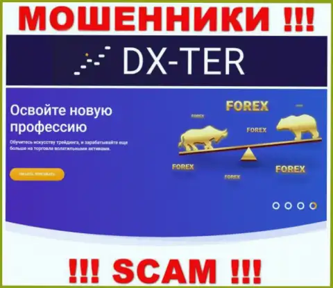 С компанией DX Ter взаимодействовать довольно опасно, их вид деятельности Forex - это ловушка