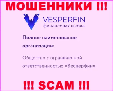 Сведения про юридическое лицо интернет-махинаторов VesperFin - ООО Весперфин, не спасет Вас от их загребущих лап