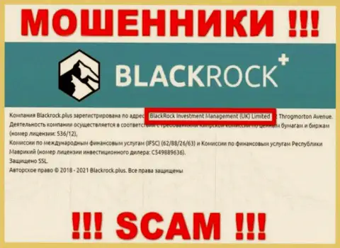 Руководством BlackRock Plus является контора - BlackRock Investment Management (UK) Ltd