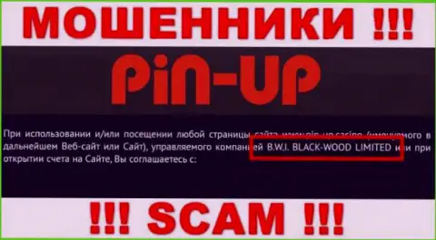 Мошенники Pin-Up Casino принадлежат юридическому лицу - B.W.I. BLACK-WOOD LIMITED