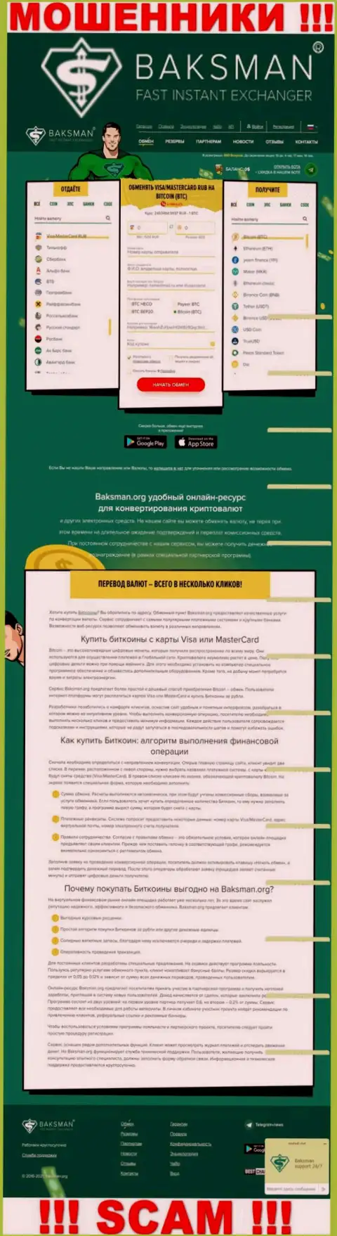 Вид официального веб-ресурса противозаконно действующей организации Бакс Мен