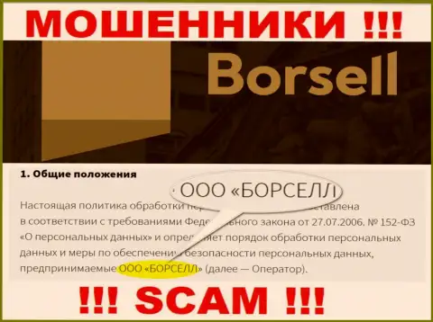 Лохотронщики Borsell принадлежат юридическому лицу - ООО БОРСЕЛЛ