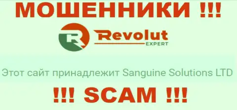 Данные о юр. лице интернет-мошенников RevolutExpert