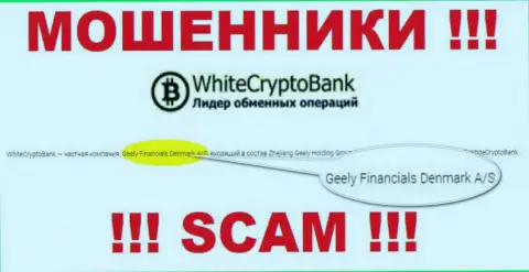 Юридическим лицом, владеющим мошенниками WhiteCryptoBank, является Джили Финанс Денмарк А/С