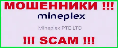 Руководителями Mine Plex оказалась организация - МайнПлекс ПТЕ ЛТД