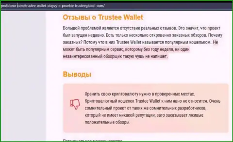 Trustee Wallet - это МОШЕННИКИ !!! Отжимают вложенные деньги доверчивых людей (обзор)