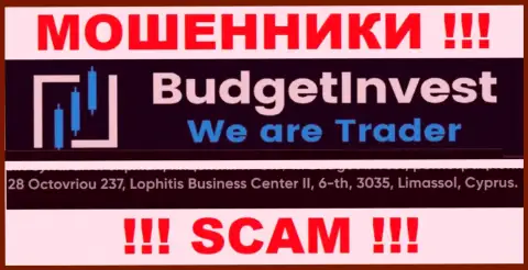 Не сотрудничайте с организацией BudgetInvest - указанные интернет мошенники сидят в оффшорной зоне по адресу 8 Octovriou 237, Lophitis Business Center II, 6-th, 3035, Limassol, Cyprus