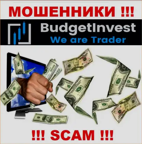 Абсолютно все рассказы работников из брокерской конторы BudgetInvest Org всего лишь ничего не значащие слова - это МОШЕННИКИ !!!