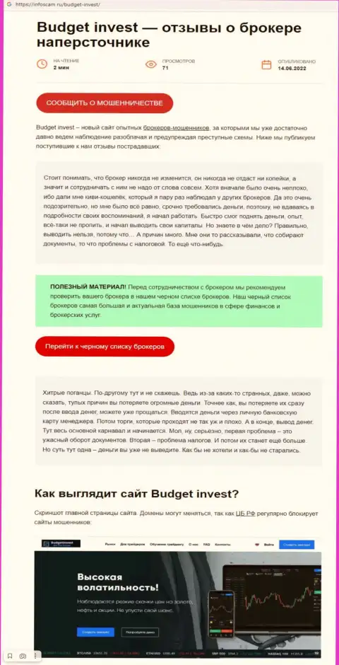 Budget Invest - это ЛОХОТРОНЩИКИ !!!  - достоверные факты в обзоре компании