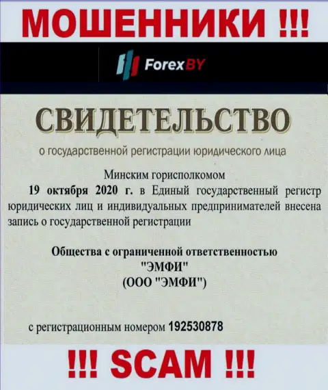 Регистрационный номер жульнической организации Forex BY - 192530878