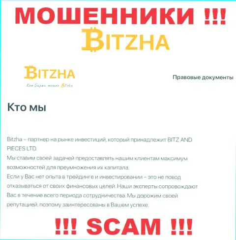 Bitzha 24 - это циничные мошенники, вид деятельности которых - Investing